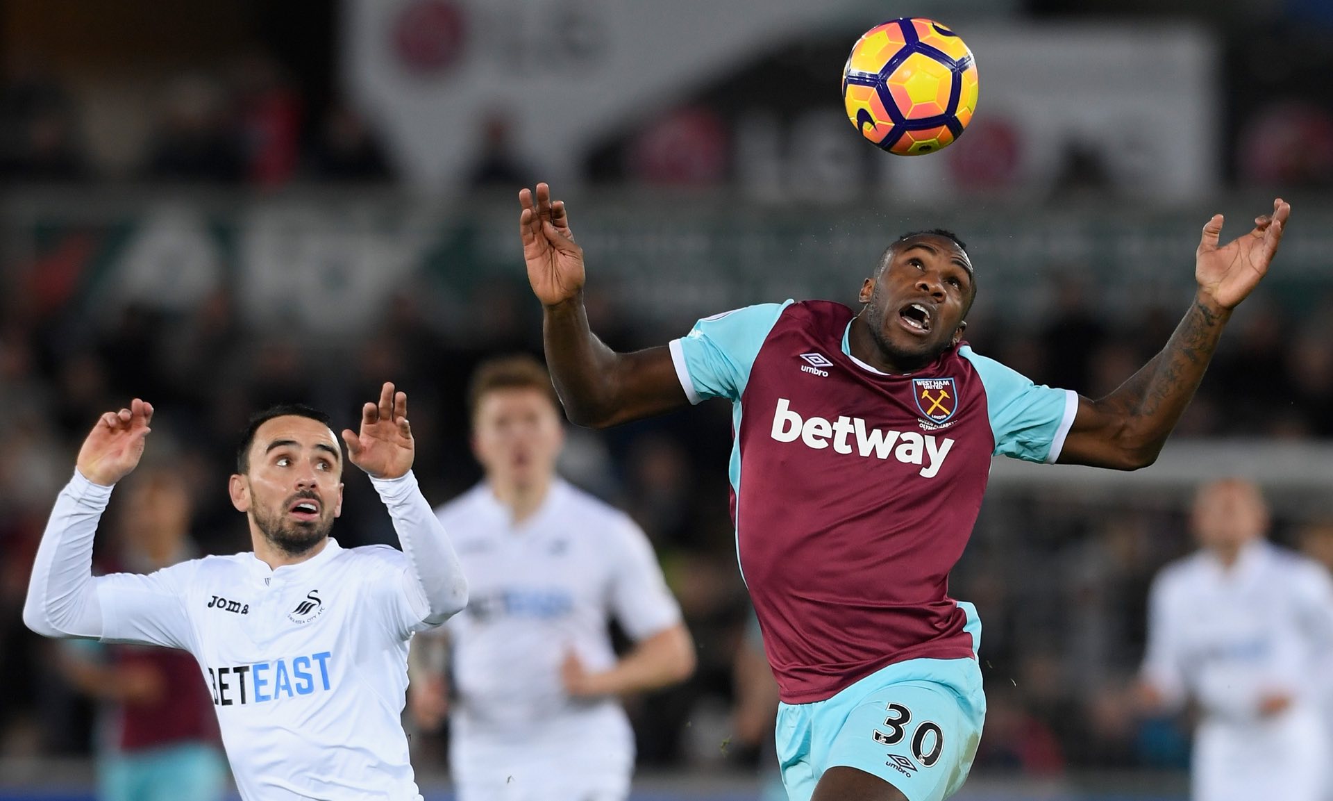 教练组或许 教练组或许