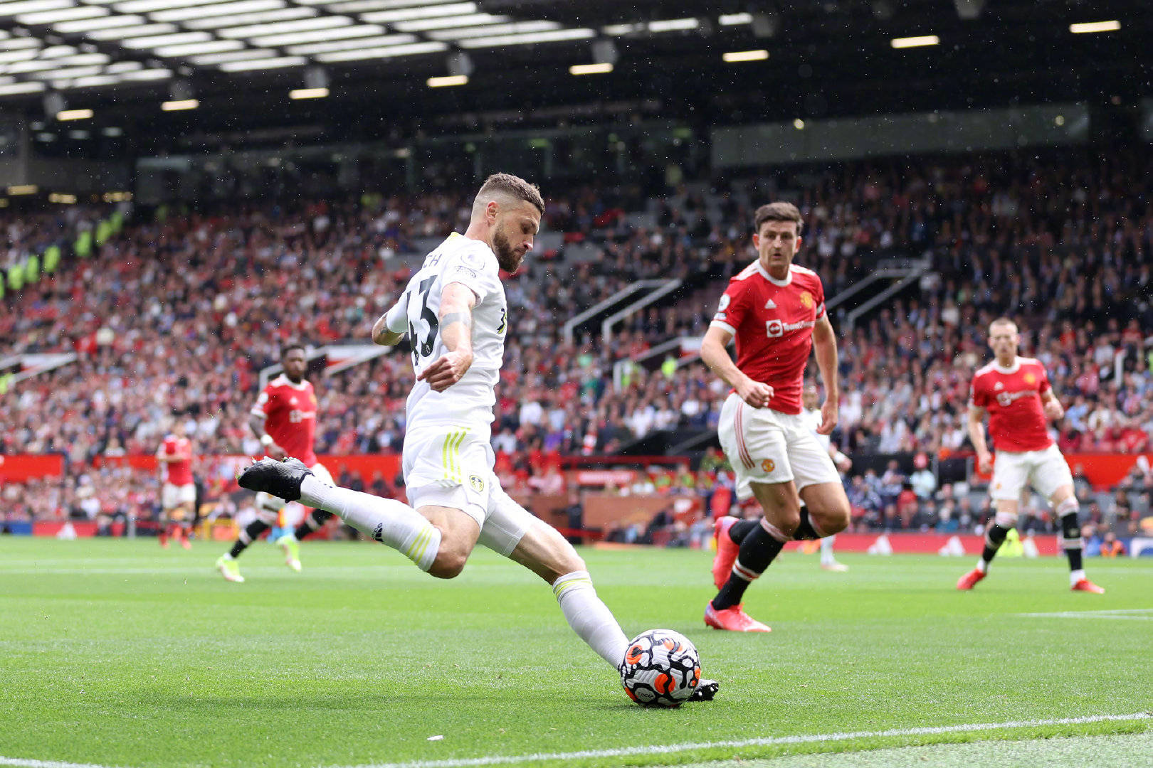 逐渐崭露头 逐渐崭露头