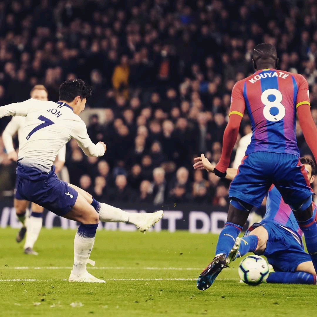 辰杰未来的 辰杰未来的